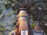 Konkurs Fotograficzny