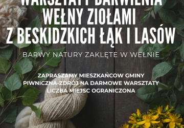 Warsztaty barwienia wełny ziołami z beskidzkich łąk i lasów